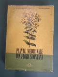 Plante medicinale din flora spontana - Corniliu Constantinescu, 1973 / R5P2F