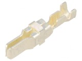 Pin tată cositorit 1,25-1,4mm2 crimpat TYPE XII, TE Connectivity