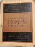 Fenomenele sociale in Statele Unite - Nicolae Petrescu