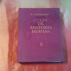 ATLAS DE ANATOMIA HUMANA - Vol. II - R. D. Sinelnikov - MIR,1986, 471 p.