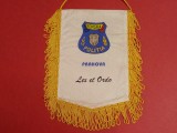 Fanion POLITIA Romana - Prahova