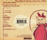 Mangled Demos From 1983 | Melvins