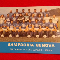 Foto echipa fotbal - SAMPDORIA GENOVA (sezonul 1988/1989)