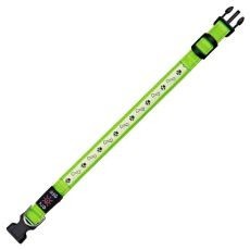 Zgardă luminoasă USB Flash M/L, verde 40 - 50 cm Zgardă luminoasă USB Flash M/L, verde 40 - 50 cm