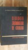 Geologia Zacamintelor de Carbuni - Grigore Raileanu, Nicolae Grigoras, Oncescu, Ed. Tehnica 1963, Geografie