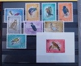 YEMEN pasarii,fauna---MNH/**, Nestampilat