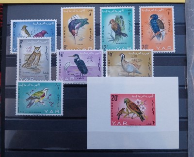 YEMEN pasarii,fauna---MNH/** foto