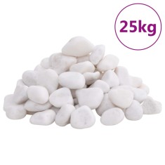 vidaXL Pietricele lustruite, 25 kg, alb, 2-5 cm foto