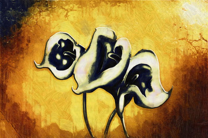 Tablou canvas Flori, vintage, abstract, arta13, 60 x 40 cm