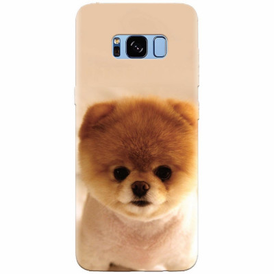 Husa silicon pentru Samsung S8 Plus, Cutest Puppy Dog foto