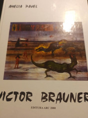 VICTOR BRAUNER (ALBUM) - AMELIA PAVEL, ED ARC 2000 1999 47 PAG HARTIE CRETATA foto