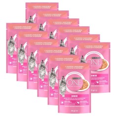 PURINA ONE JUNIOR mini filete cu somon ?i morcovi in suc 12 x 85 g foto