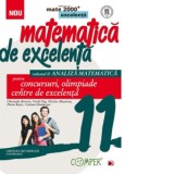 Matematica de excelenta. Pentru concursuri, olimpiade si centrele de excelenta. Clasa a XI-a. Volumul II - Analiza matematica