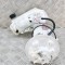 Pompa de combustibil rezervor TOYOTA C-HR _X1_ 2021 OEM: 77020-02C21 14892352