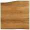 vidaXL Blat masă cu margini, 40x40x3,8 cm, lemn masiv mango 370774