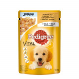 Hrană umedă Pedigree, Junior, Pui/Orez, 100g