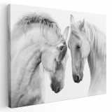 Tablou doi cai albi alb negru 1898 Tablou canvas pe panza CU RAMA 60x80 cm