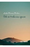 Cele ce trebuiau spuse - Anda Maria Mihai