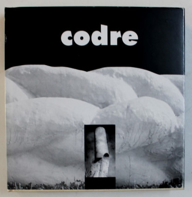 CODRE - SCULPTOR de DAN ERCEANU , EDITIE IN ROMANA - ENGLEZA - FRANCEZA - ITALIANA , 2009 foto