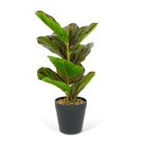 Planta artificiala decorativa - Frunza de zebra verde/negru - 34 x 9 cm Best CarHome