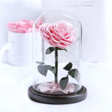 Cumpara ieftin Trandafir Criogenat inima roz &Oslash;9cm in cupola sticla 17x28cm