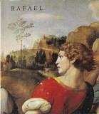 Vasile Florea - Rafael