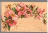 CPIB 23933 - CARTE POSTALA - FELICITARE -FLORI, FRANKFURT, CIRCULATA, 1902, STAMPILE, TIMBRU, Printata