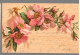 CPIB 23933 - CARTE POSTALA - FELICITARE -FLORI, FRANKFURT, CIRCULATA, 1902, STAMPILE, TIMBRU
