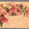 CPIB 23933 - CARTE POSTALA - FELICITARE -FLORI, FRANKFURT, CIRCULATA, 1902, STAMPILE, TIMBRU