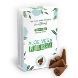 Cumpara ieftin Conuri Parfumate pe Baza de Plante - Aloe Vera