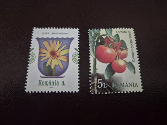 2 in 1 - Timbru Arnica Montana 3L din anul 2023 si Timbru Tomate 5L din anul 2025