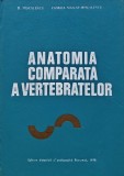 Anatomia comparata a vertebrelor - 1978 - Florica Mailat-Miscalencu (AF209)