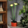 Lampă Solară Floare Colorată, 10 LED Alb Cald, 32cm, Galbenă, Grădină, Decor Exterior, IP44