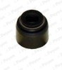 PAYEN PA6055 Etansare, supape