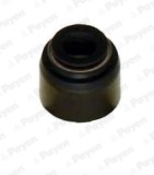 PAYEN PA6055 Etansare, supape