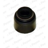PAYEN PA6055 Etansare, supape