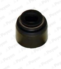PAYEN PA6055 Etansare, supape foto