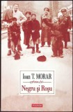 NEGRU SI ROSU - Ioan T. Morar (2013) - Roman Polirom, Paperback, 331 pagini, Romana, 13x20 cm
