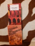 ULTIMELE ZILE ALE ORASULUI/POMPEI-EDWARD BULWER LYTTON/ROBERT HARRIS (2 VOL)