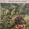 The Red and the Green - Iris Murdoch