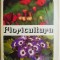 Floricultura &ndash; Milea Preda