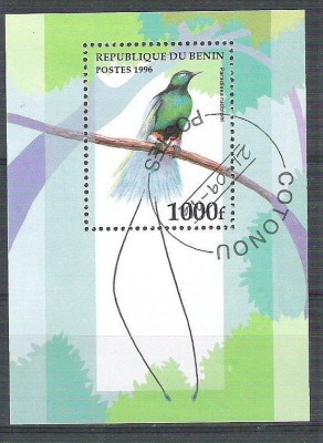 Benin 1996 Birds, perf. sheet, used AB.078 foto