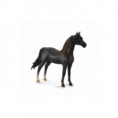 Armasar Chestnut Morgan XL - Animal figurina