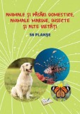 Planse: Animale si pasari domestice animale marine insecte si alte vietati