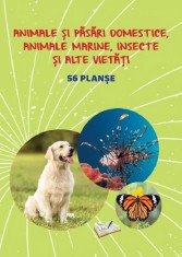 Planse: Animale si pasari domestice animale marine insecte si alte vietati