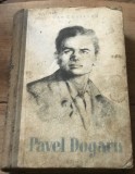 LITR8 Literatura, Pavel Dogaru
