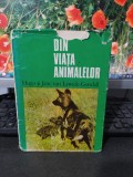 Din viața animalelor, Hugo și Jane van Lawick-Goodall, București 1975, 098