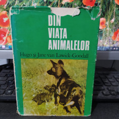 Din viața animalelor, Hugo și Jane van Lawick-Goodall, București 1975, 098