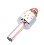 Microfon karaoke Rotosonic W-858 Auriu boxa inclusa, Bluetooth, SD Card, USB, AUX