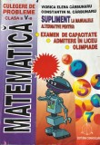 Culegere de probleme clasa a V-a, Alta editura